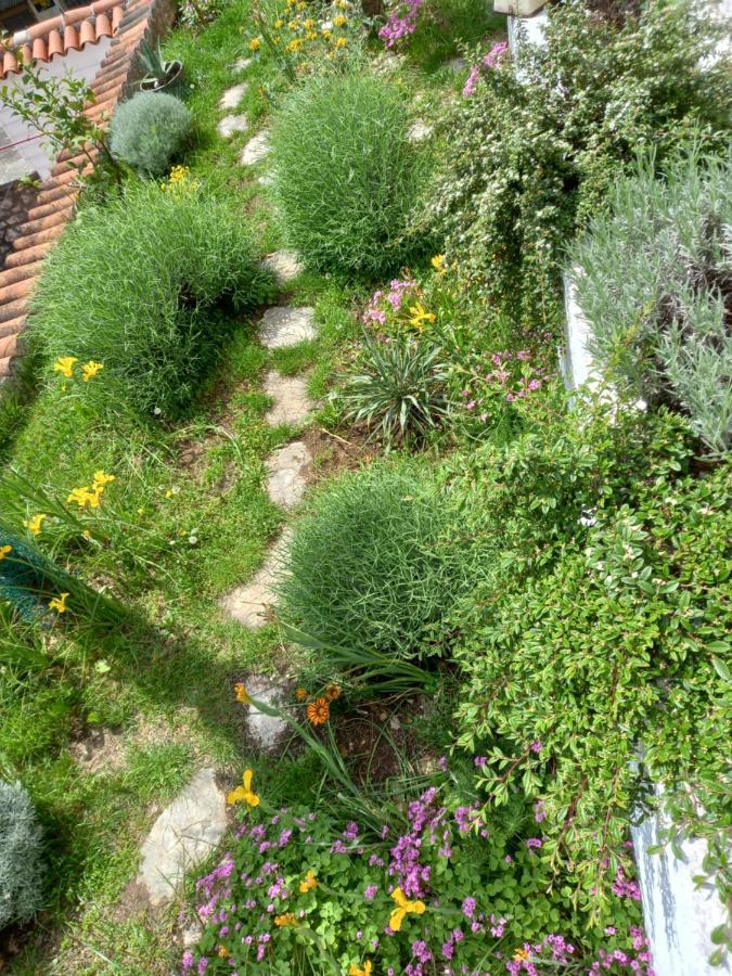 Apartmani Iris i Ana Crikvenica Bagian luar foto
